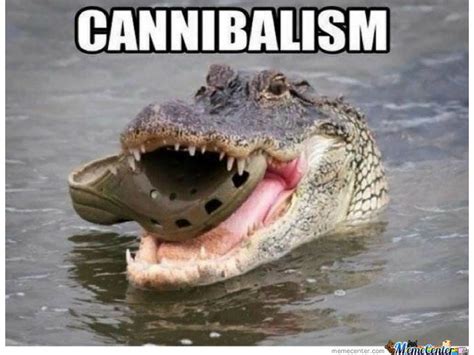 crocodile meme